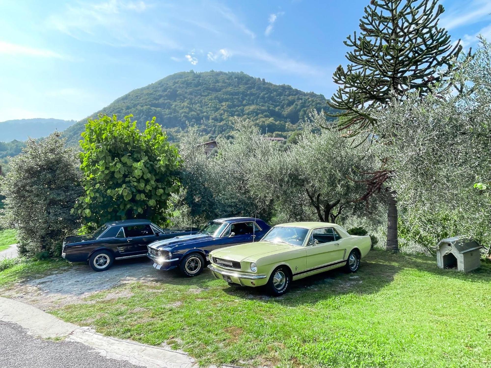 Appartamento Tivano Balcone Con Vista Lago Bellagio Zewnętrze zdjęcie